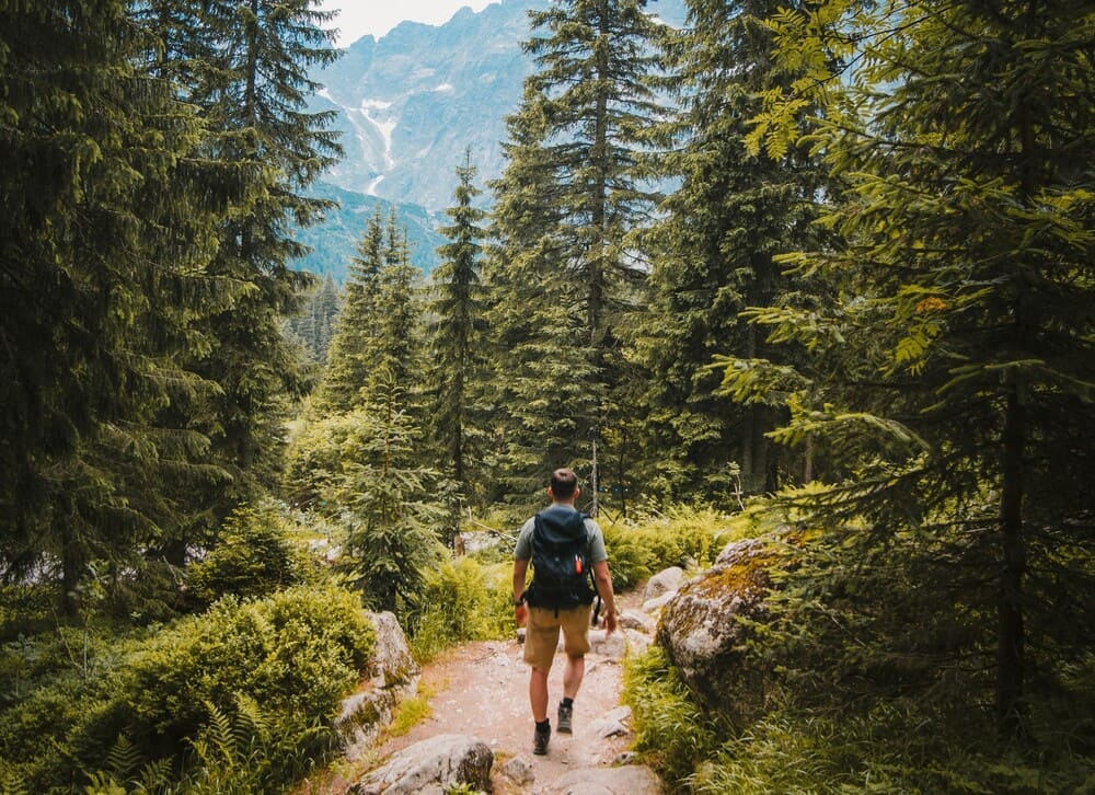 hiker descending trail