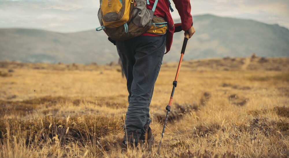 hiker with hiking stick and backpack